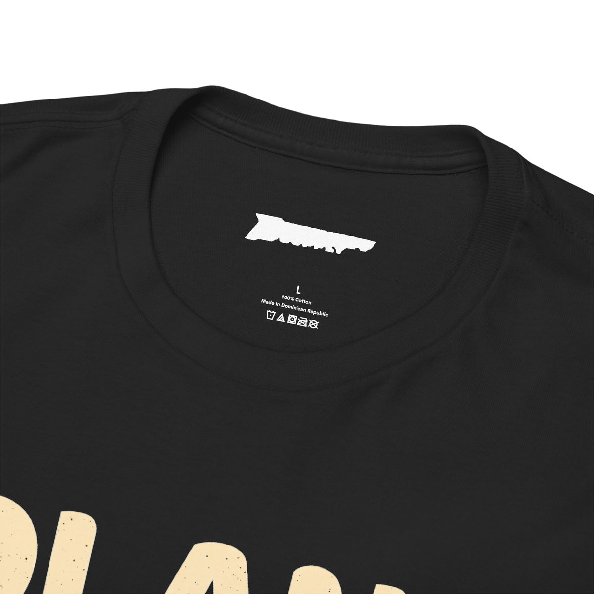 Plane Vintage Graphic Tee - "Fly It Inverted" Pilot Shirt
